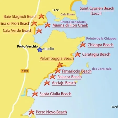 Standing Piscine Vue * Porto-Vecchio (Corsica)